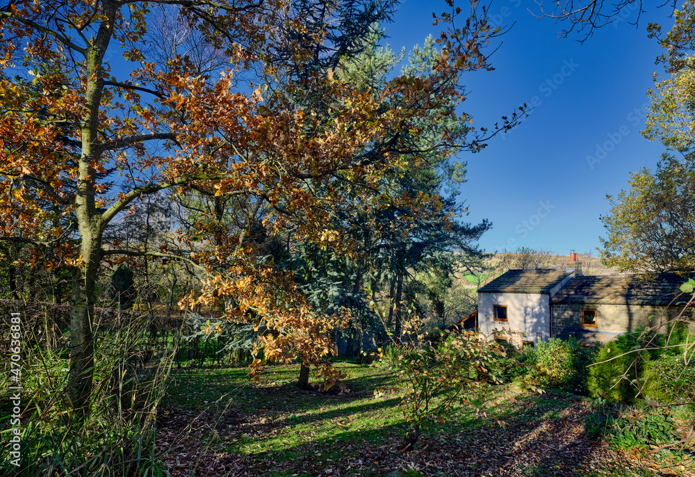Highlighting the autumn colours, a traditional Dales Cottage in bright November sunshine