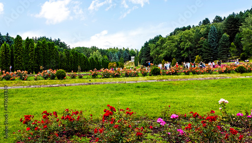 Landscape with trees and flowers.