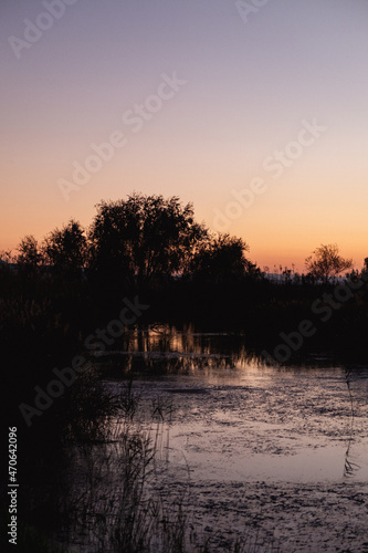 Atardecer en el campo