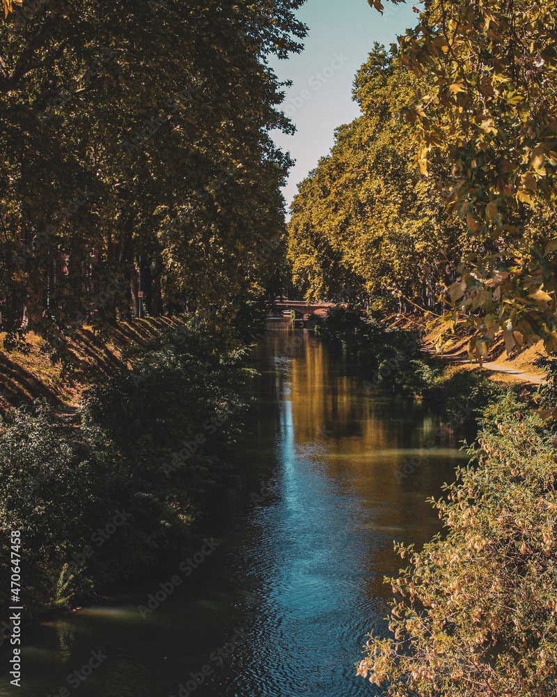 Fototapeta premium autumn in the park