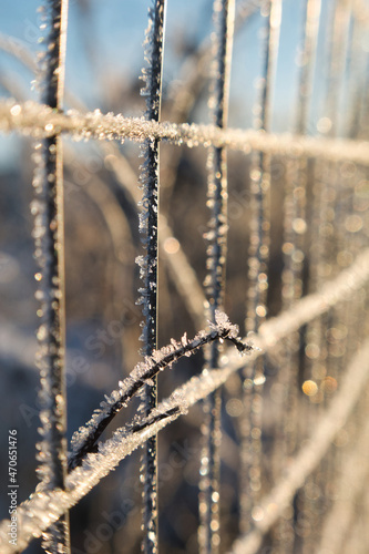 Metal square grid is decorated with frost, snowflakes and white snow