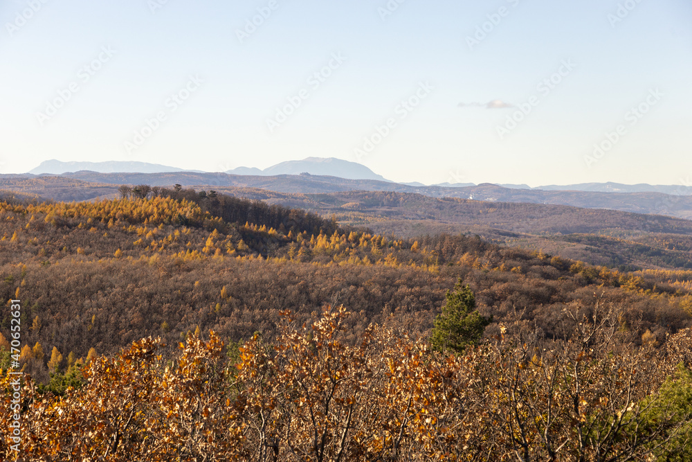 Fototapeta premium autumn in the mountains