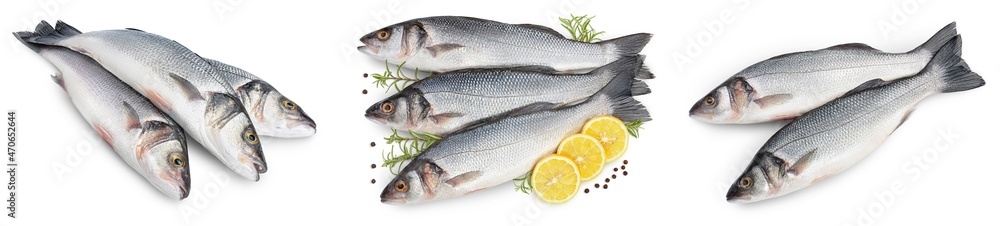 Sea bass fich isolated on white background. Top view. Flat lay. Set or collection