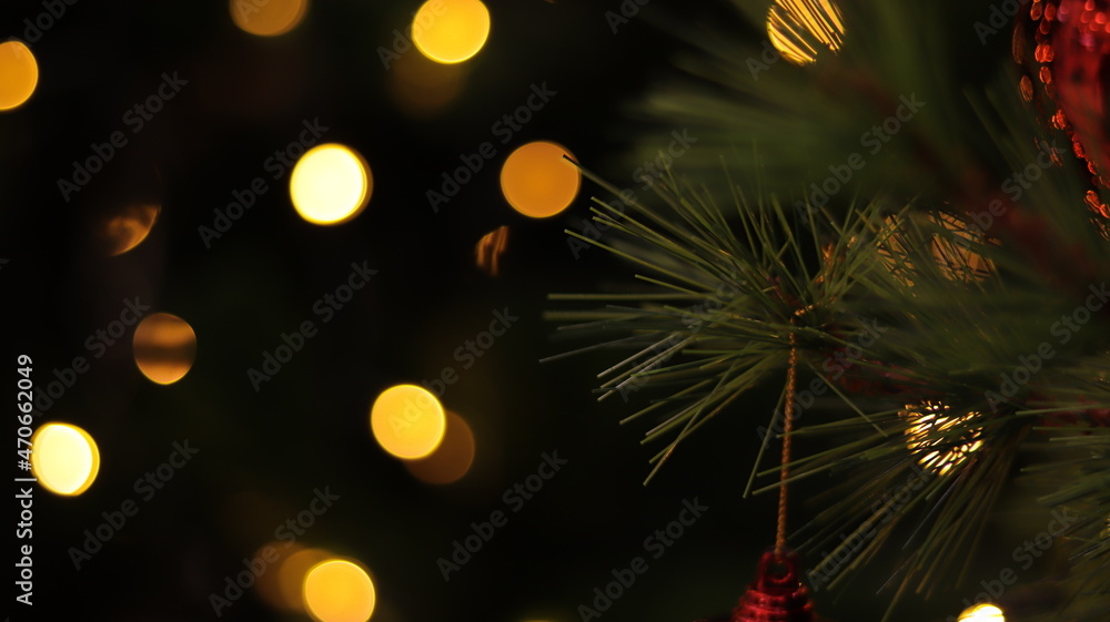 christmas tree with lights