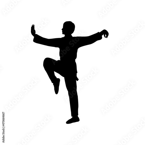 Silhouette of man train martial arts crane pose.