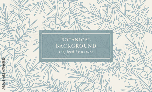 Hand drawn juniper branch background