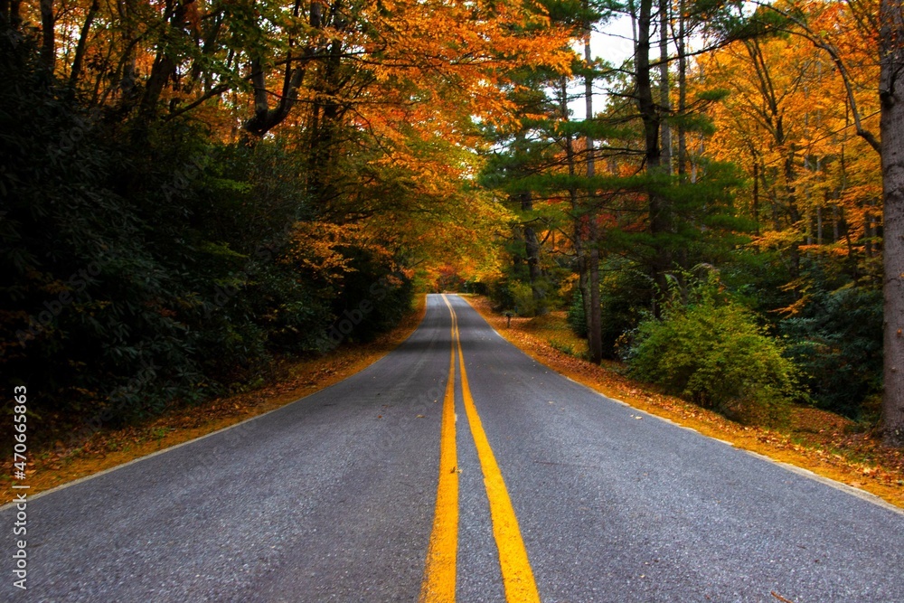 Obraz premium Autumn on a Country Road, Asheville, North Carolina, USA