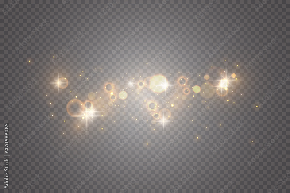 Light effect. Background of sparkling particles. Glittering elements on a transparent background. Light effect. Background of sparkling particles. Glittering elements on a transparent background.