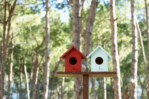 Two wooden birdhouses on stand in the park with blurred foliage in the background