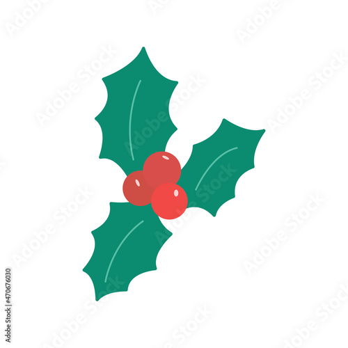 Holly leaves with berries. Christmas and New Year symbol. Colorful vector illustration hand drawn isolated icon card