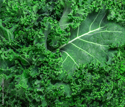 Kale Salad. Fresh Green Kale vegetable leaves texture as a background. Healthy eating vegetarian food concept..