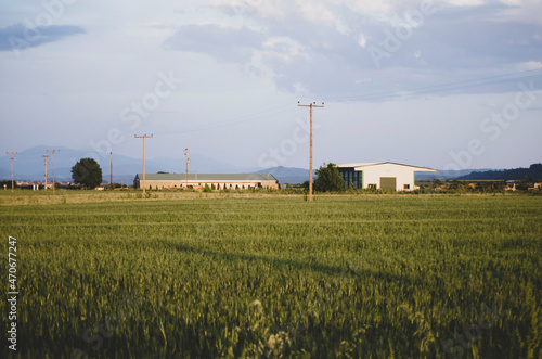 grain elevator in the countryside