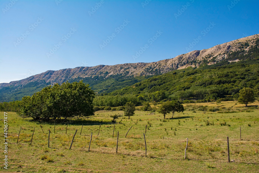 The landscape near Jurandvor village in the Baska Valley on Krk island, in the Primorje-Gorski Kotar County of western Croatia
