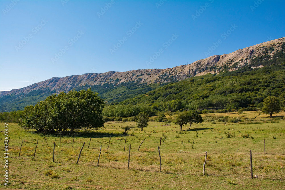 Naklejka premium The landscape near Jurandvor village in the Baska Valley on Krk island, in the Primorje-Gorski Kotar County of western Croatia 
