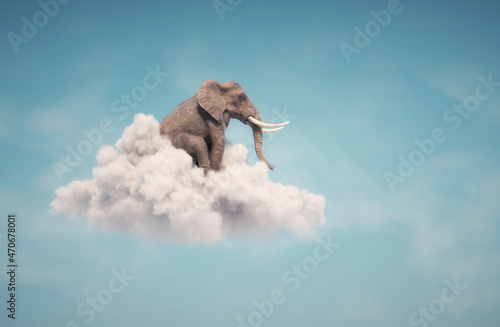 Elephant sitting on a cloud in the sky photo