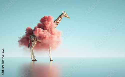 Giraffe with a pink cloud around. photo