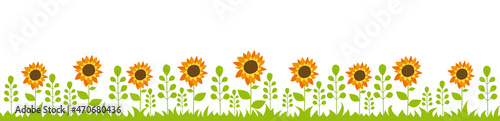 Panoramic garden with sunflowers, plants and grass, isolated on white background.
