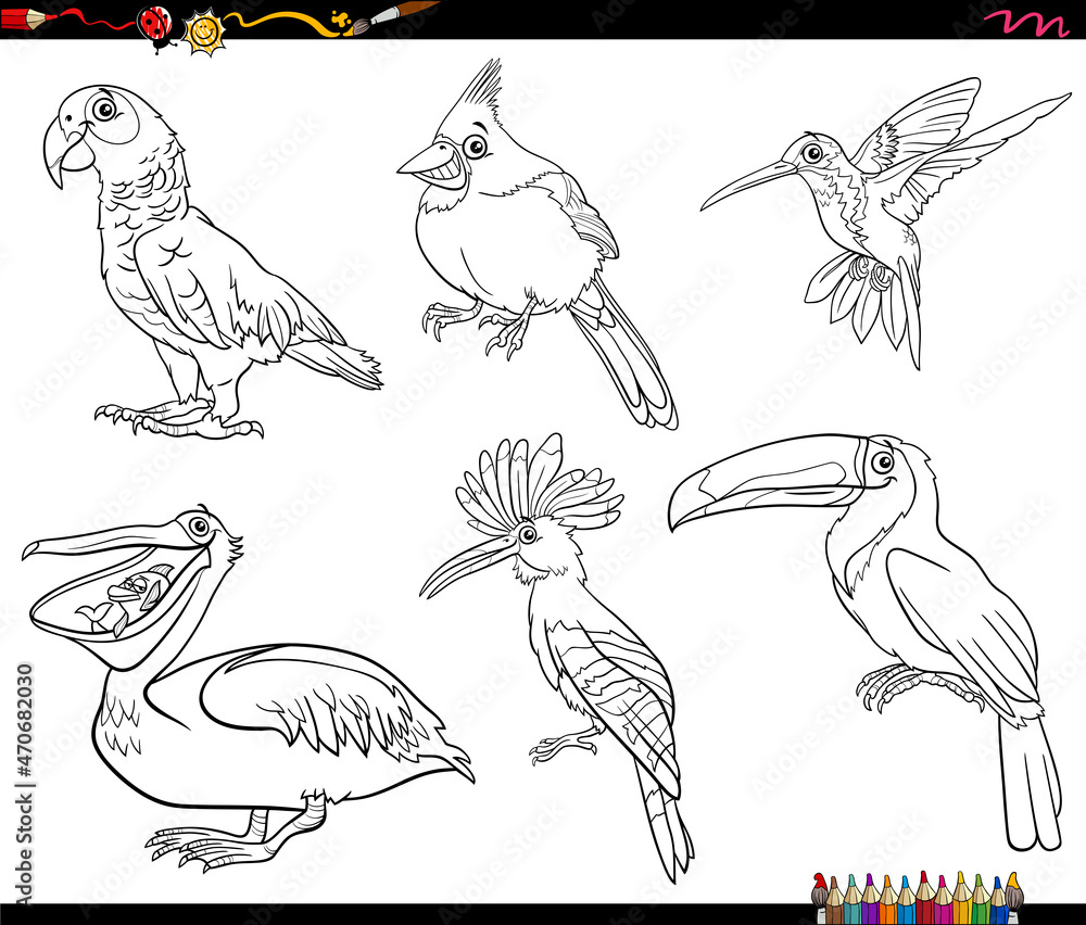 Fototapeta premium cartoon birds animal characters set coloring book page