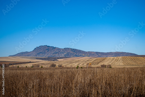 field of wheat an mountain © Andrey