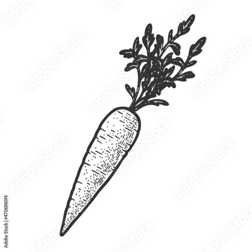 carrot plant sketch engraving vector illustration. T-shirt apparel print design. Scratch board imitation. Black and white hand drawn image.