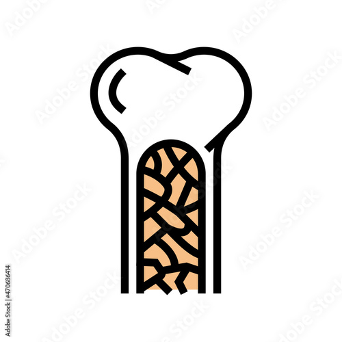 bone marrow color icon vector. bone marrow sign. isolated symbol illustration