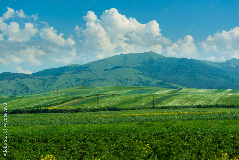 Alpine landscape with field and mountains, Armenia