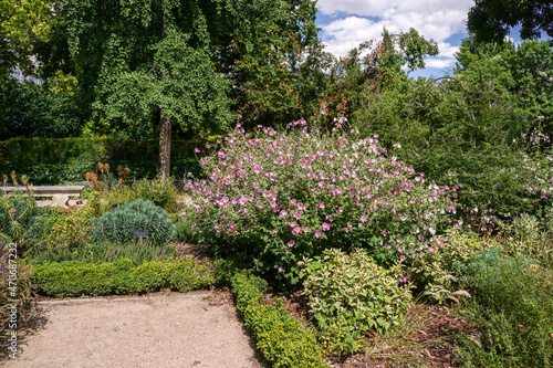 Detail of the lush green Garden in Spain, Europe. Trees, flowers, pathway and beautiful nature landscape.