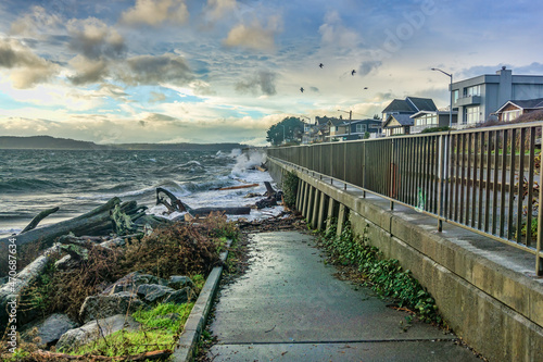 Puget Sound Whitewater Shoreline 6