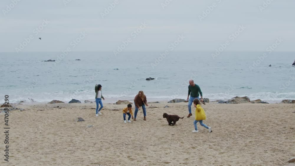 Parents and their small kids, two girls and boy, are playing with cute dog on beach, clapping and running together, having fun, enjoy their communication, Slow motion.