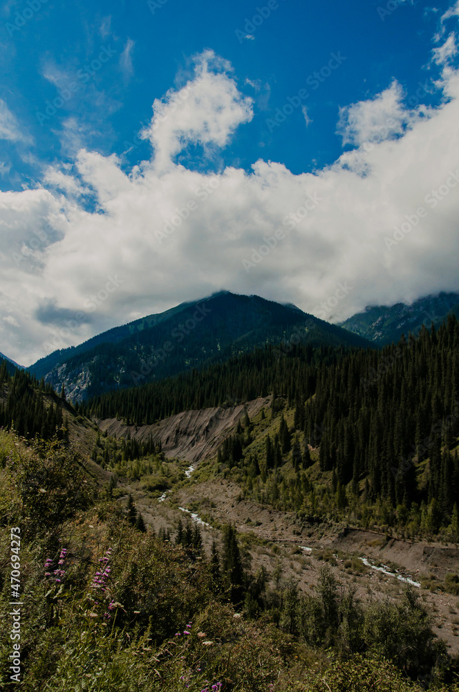 River in mountains