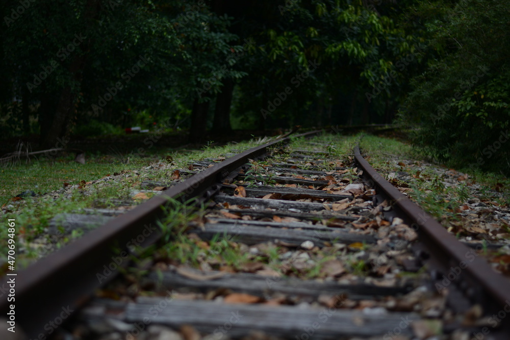 Fototapeta premium old train tracks