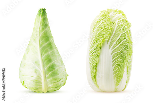Green cabbage and field pointed cabbage
