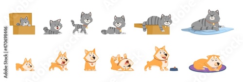 Animal growth. Small kitten, pets growing stages. Elderly and young pet, isolated adorable cat and dog cartoon characters. Cute puppy develop, decent vector set