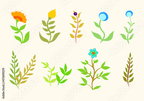 Set of floral elements for graphic and web design. Vector illustrations for design, beauty, weddings and events, fashion, natural and organic products, environment