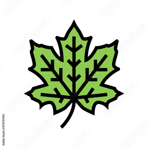 maple tree leaf color icon vector. maple tree leaf sign. isolated symbol illustration