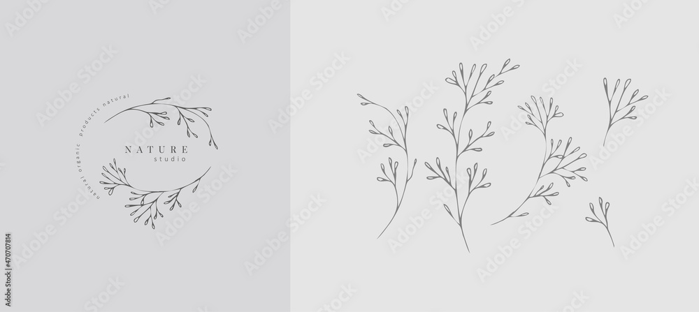 Obraz premium Set of inimal feminine botanical floral branch and logo. Hand drawn wedding herb, homeplant with elegant leaves. Botanical rustic trendy greenery vector