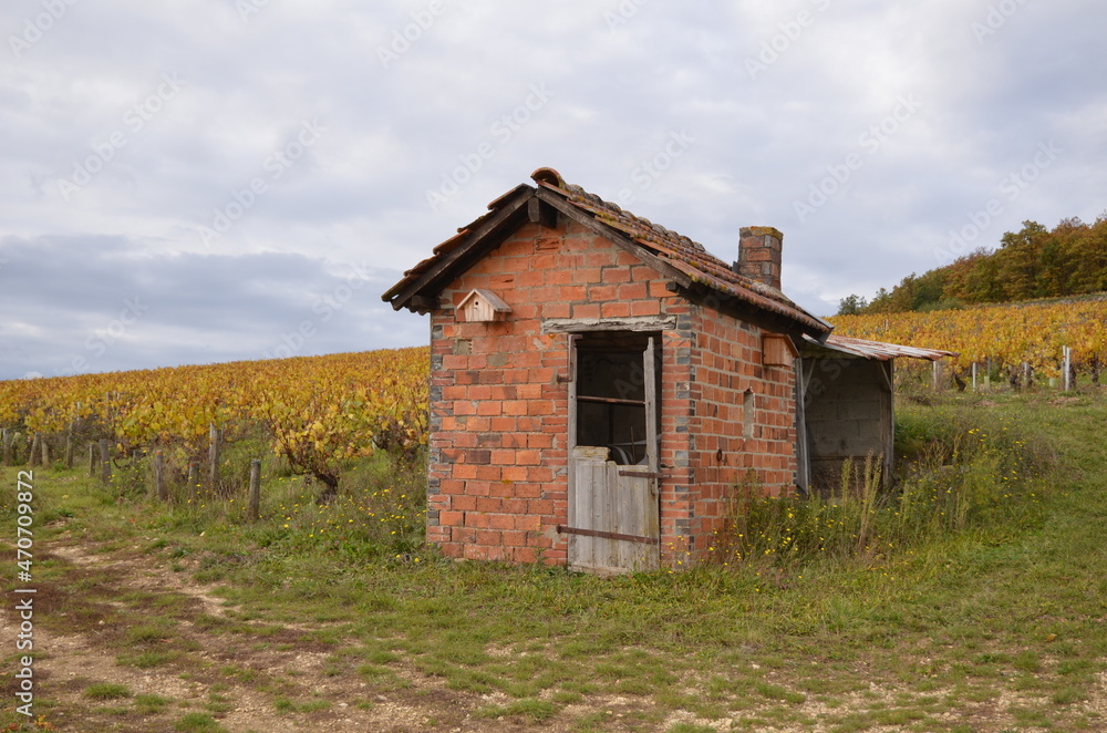 ABRI DE VIGNERON VIGNES GRAND CRU VAUDESIR ABRI DE VIGNERON VIGNES GRAND CRU VAUDESIR