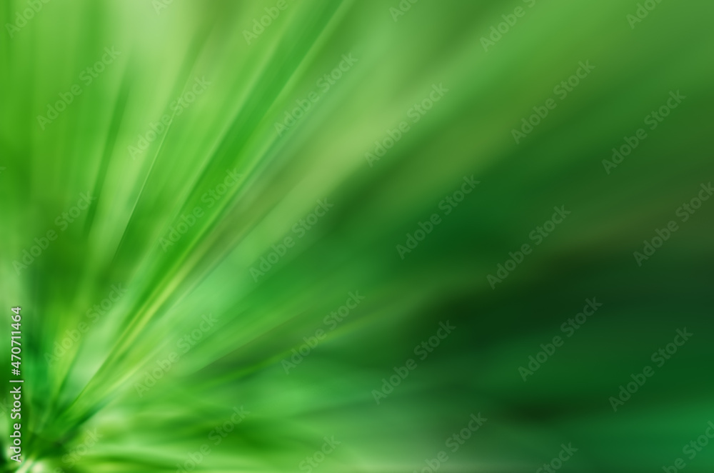 Obraz premium abstract blurred in motion green stripes