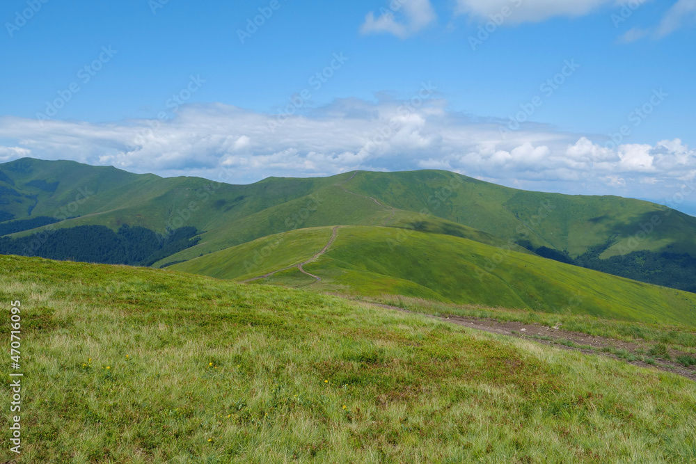 Beautiful Carpathian Mountains in Ukraine, Polonina Borzhava mountain range