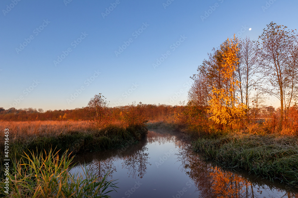 Obraz premium nature reserve in the netherlands westerwolde groningen