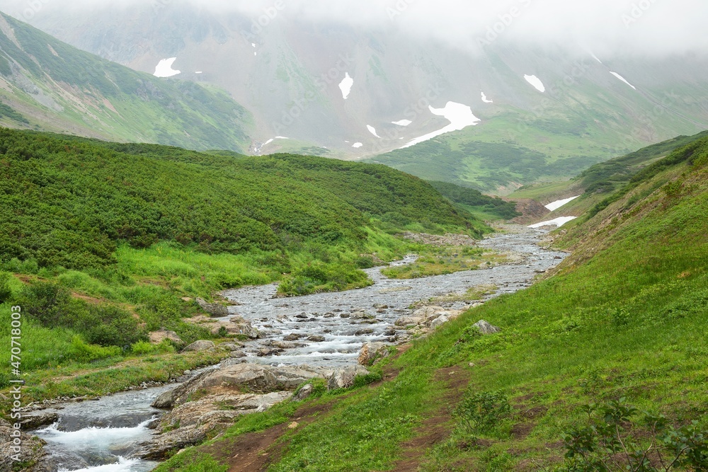 A river in Vatchkazhets valley (former volcano field), Kamchatka, Russia