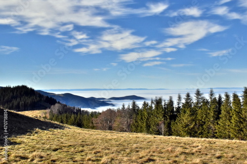   ber dem Nebel im Schwarzwald
