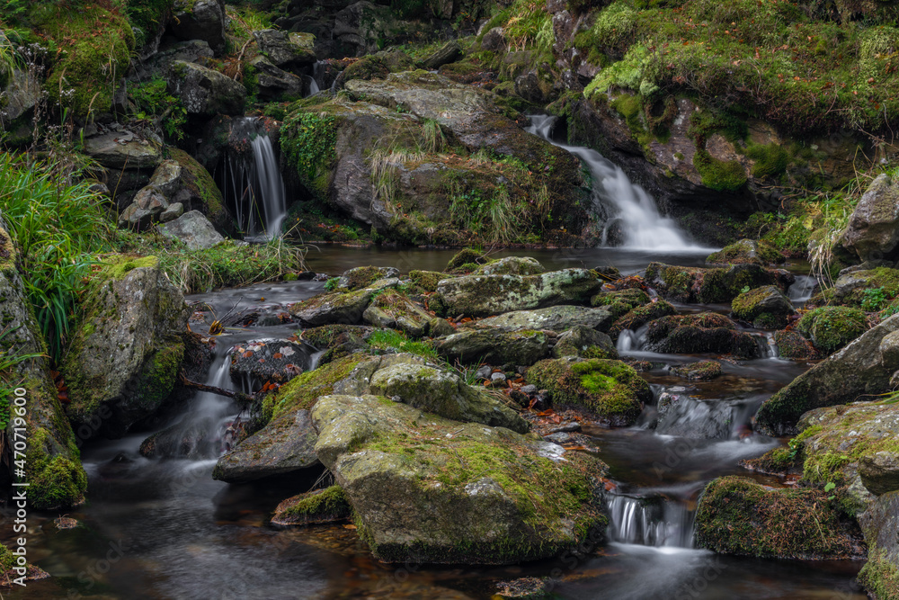 Sumny creek in autumn morning in Jeseniky mountains