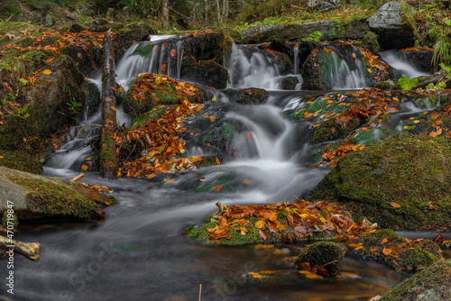 Sumny creek in autumn morning in Jeseniky mountains © luzkovyvagon.cz