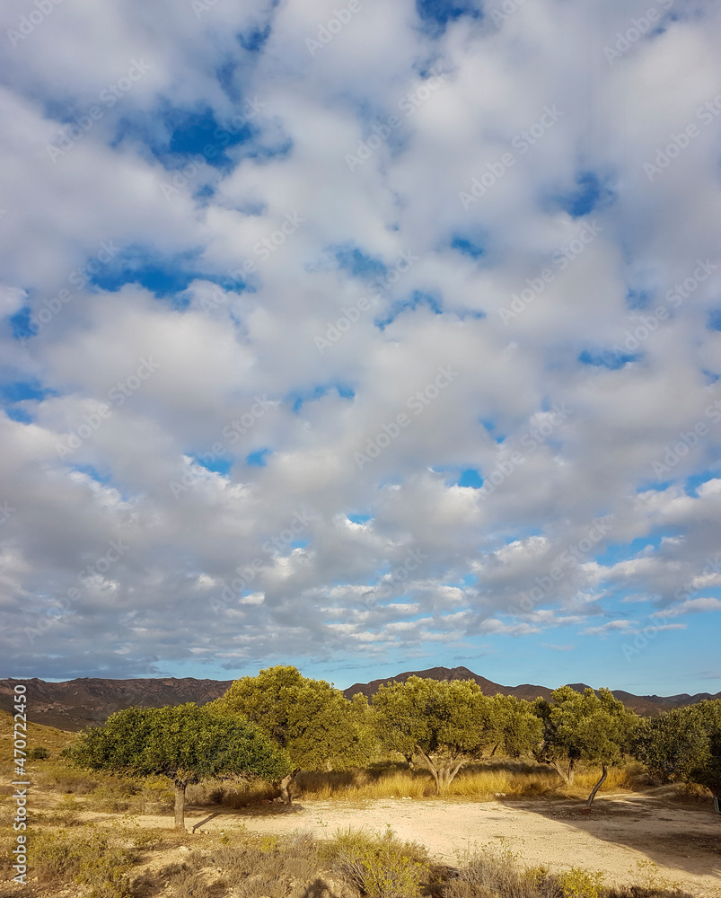 Fototapeta premium Dry Landscape in the Cabo de Gata Níjar Natural Park in southern Spain at the Mediterranean sea