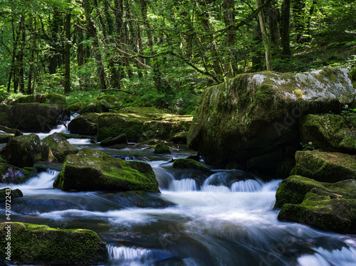 waterfall in the forest