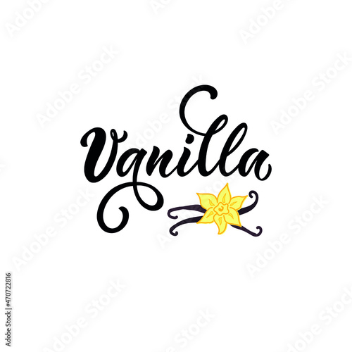 Vanilla hand lettering typography, modern brush ink calligraphy and vanilla flower and sticks vector illustration for packages, product design, poster, decoration isolated on white background