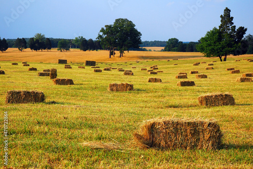 bales of hay are placed throughout the rolling hills of Manassas Battlefield photo