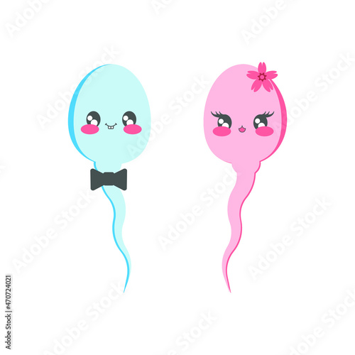 Sparmatozoon male and female kawaii. Vector illustration, flat minimal cartoon color design, isolated on white background, eps 10.