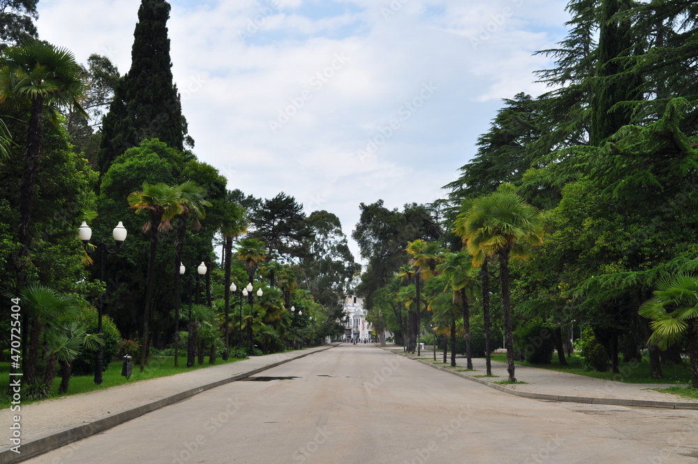 A street in Sukhumi, capital of separatist state Abkhazia. A street in Sukhumi, capital of separatist state Abkhazia.